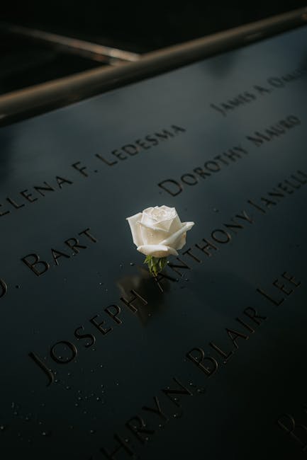 5 : img_4 - White rose on a memorial surface
